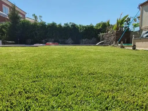 Chalet con piscina en venta en Avenida Aragoneses 1, imagen 7