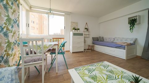 Photo 5 of Study for rent in Campoamor, Orihuela