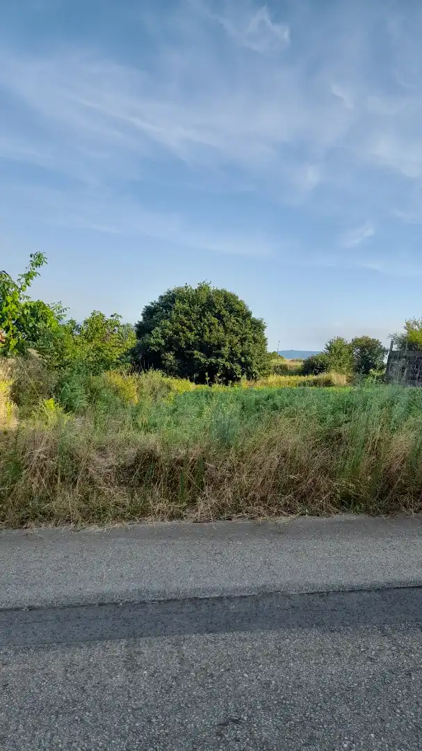 Terreno rustico in vendita a N-554 15