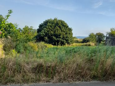 Rural land for sale in N-554 15