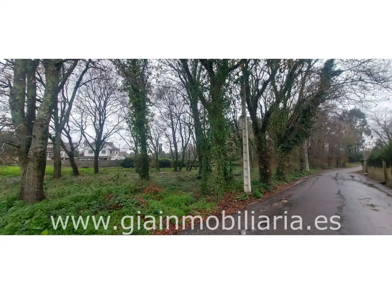 Terreno rustico in vendita a Calle Carregal De Abaixo 5, imagen 11