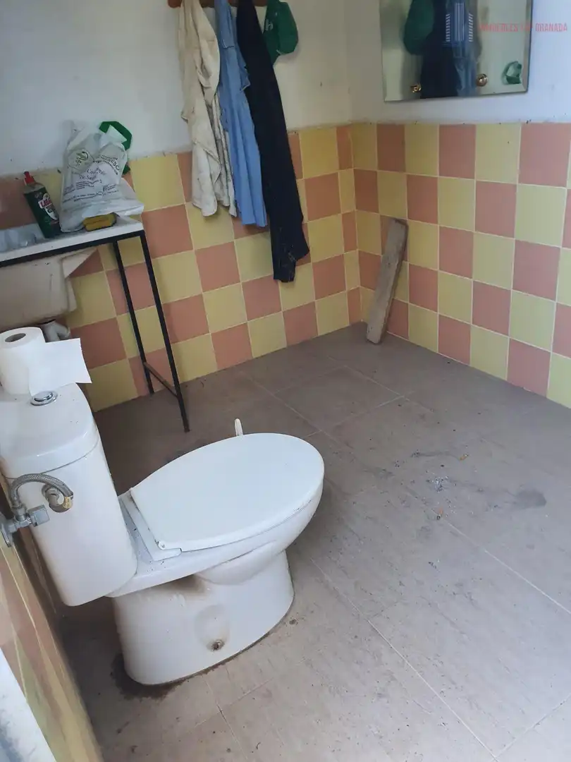 Casa rústica en venda a Residencial Triana - Barrio Alto, imagen 2
