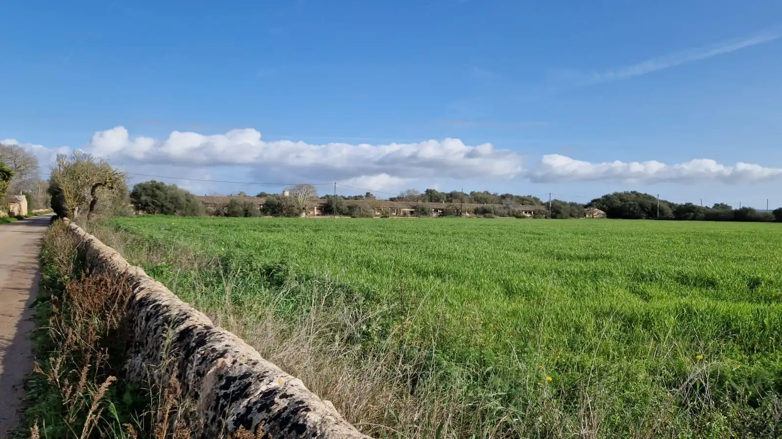 Terreno rustico in vendita a Llucmajor pueblo