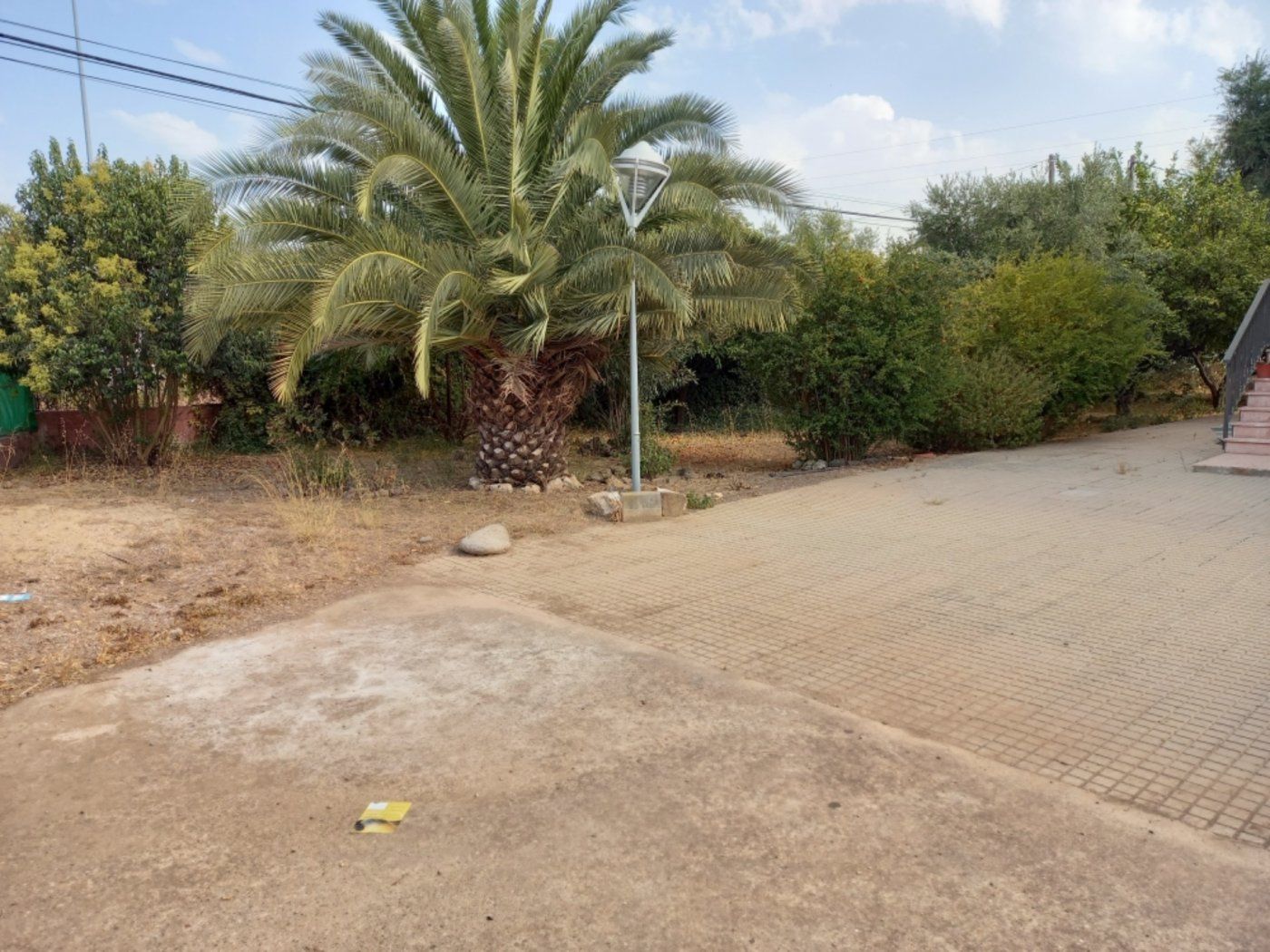 House or chalet for sale in El Higuerón