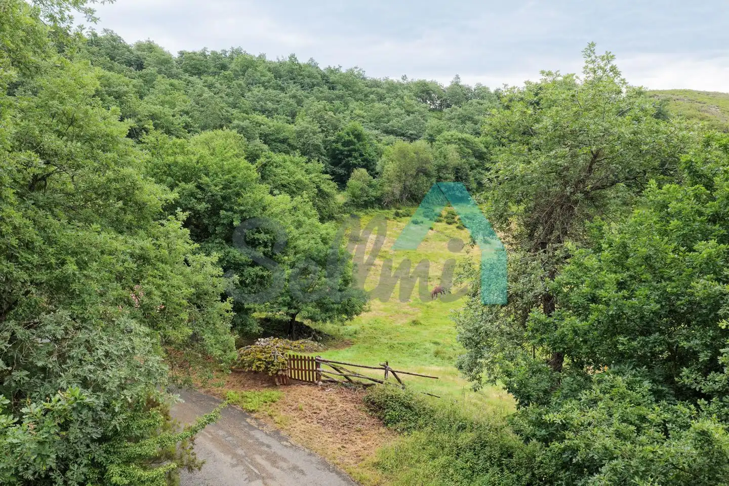 Land for sale in Proaza