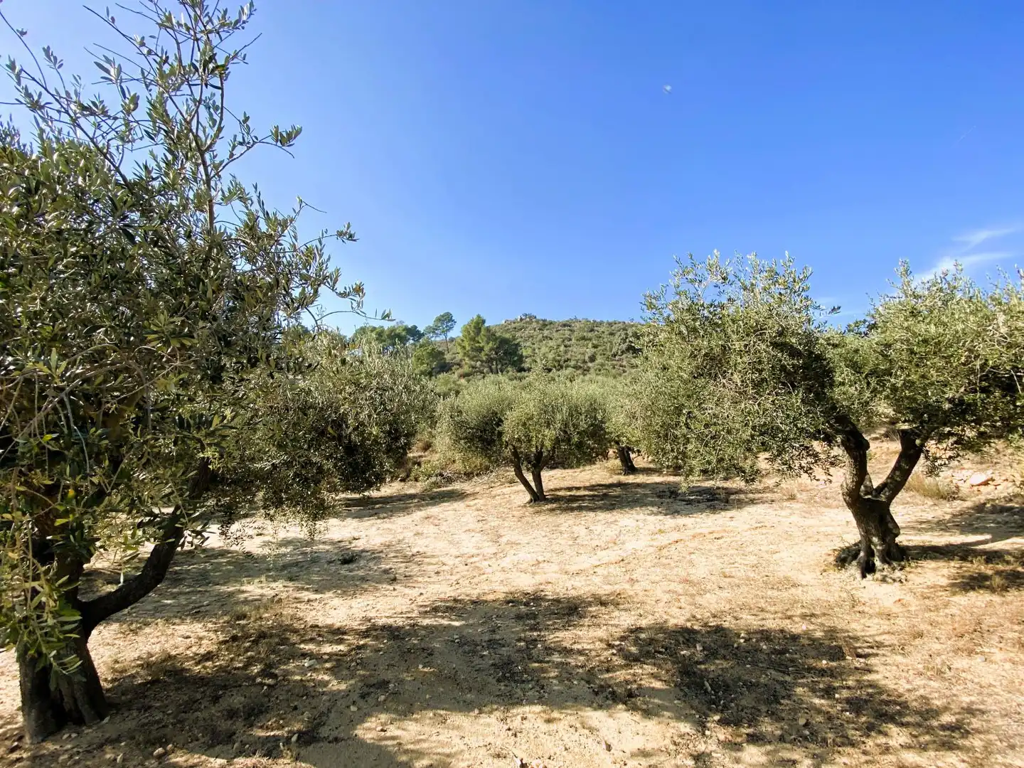 Casa rústica en venta en de les Valls, imagen 8