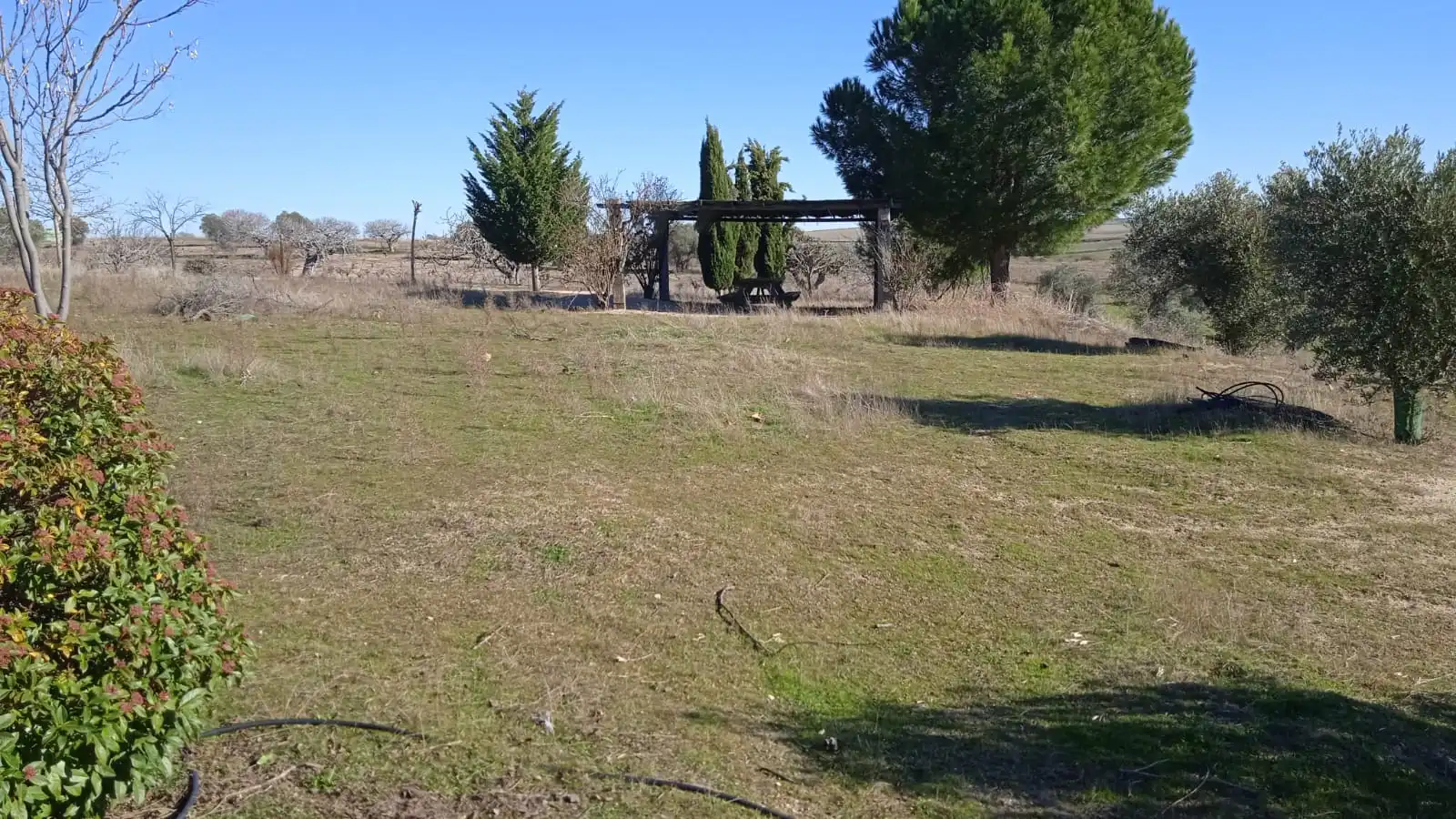 Terreno en venta en Illán de Vacas
