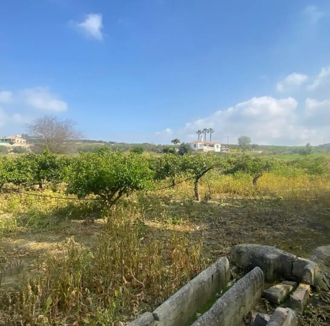 Terreno rustico in vendita a Casalpalma - Fahala, imagen 6