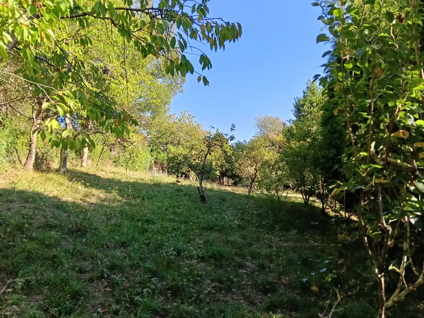 Casa amb jardí en venda a Oza dos Ríos, imagen 8