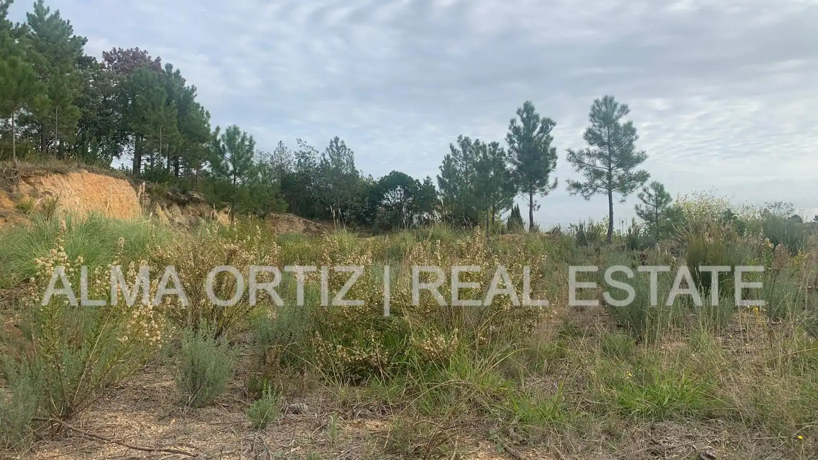Terreny residencial en venda a Calle Sauce 25, imagen 7