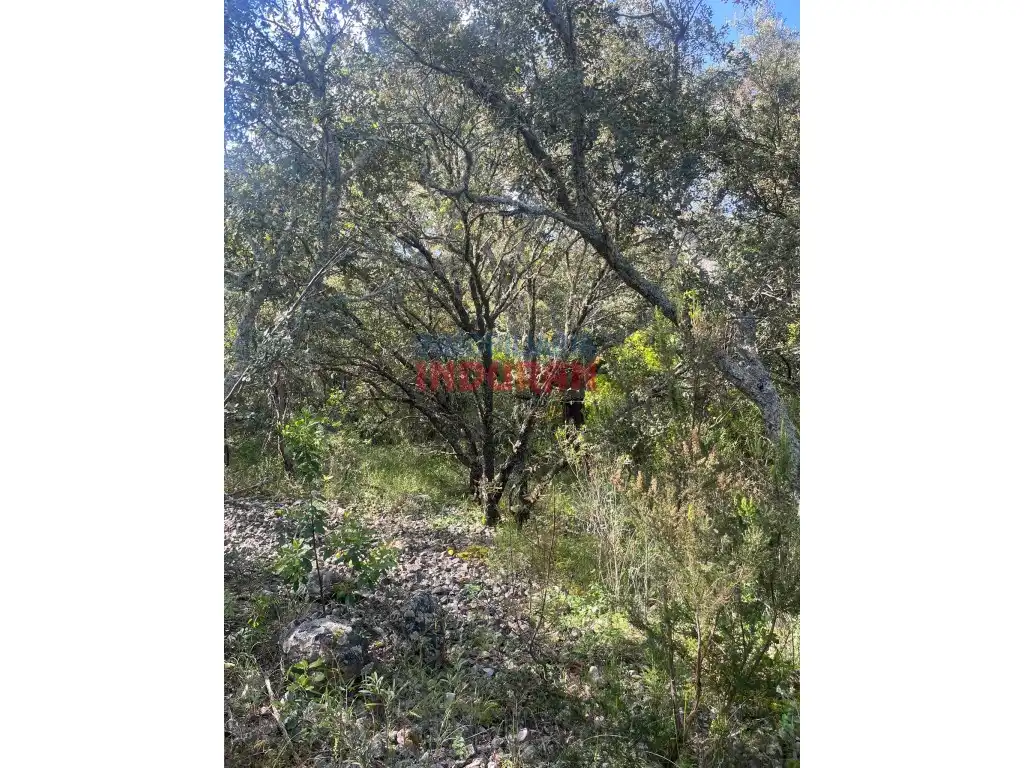 Country homes for sale in Castañar de Ibor