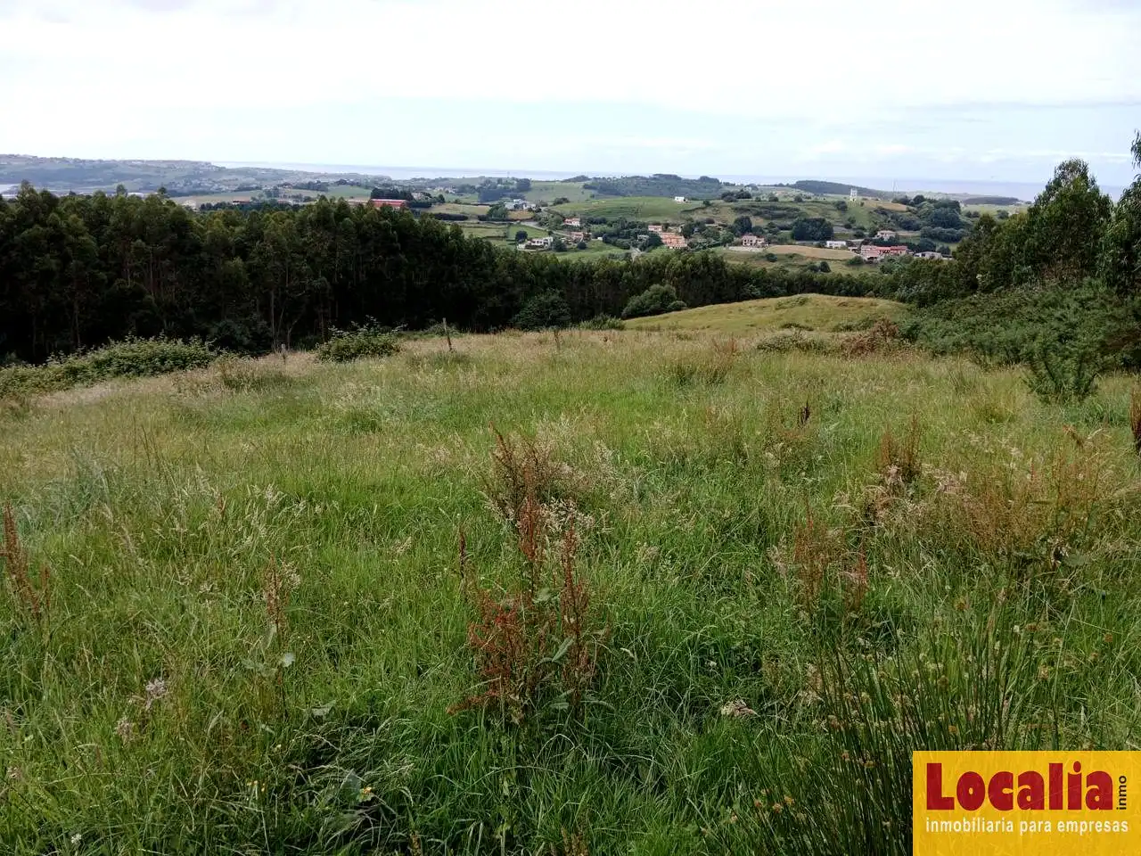 Rural land for sale in Oruña, imagen 6