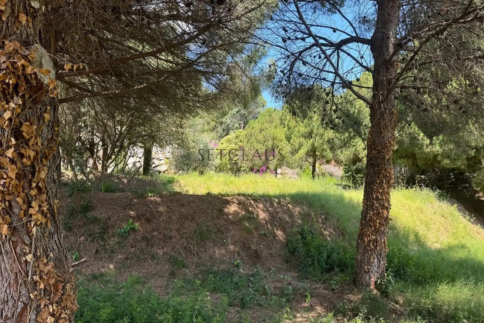 Terreny rústic en venda a Cabrera de Mar, imagen 11