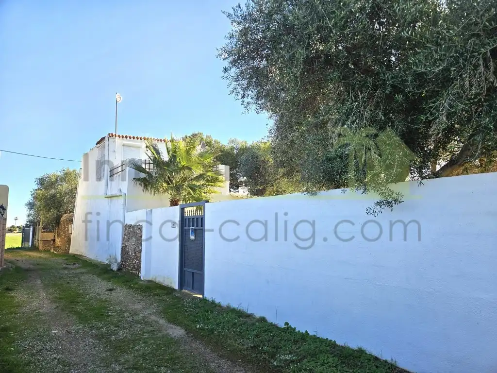 Vista exterior de Casa o xalet en venda en Benicarló amb Jardí privat, Terrassa i Forn