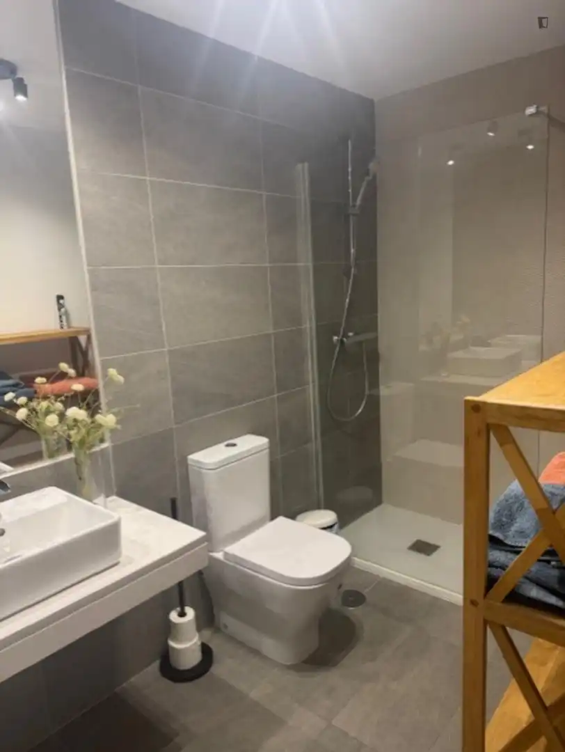 Baño de Apartamento de alquiler en Dos Hermanas con Aire acondicionado, Calefacción y Amueblado
