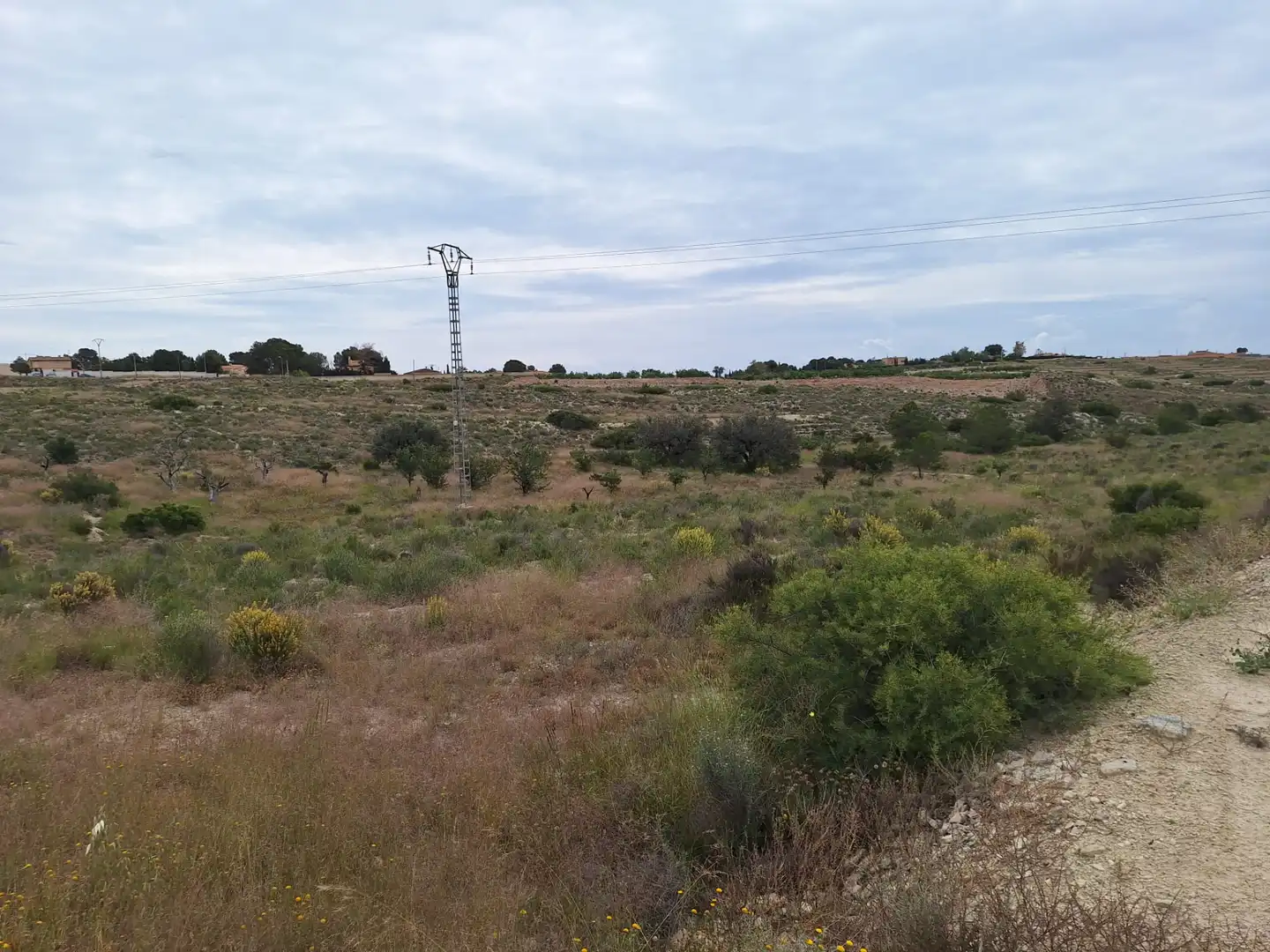Terreny en venda en Alicante / Alacant
