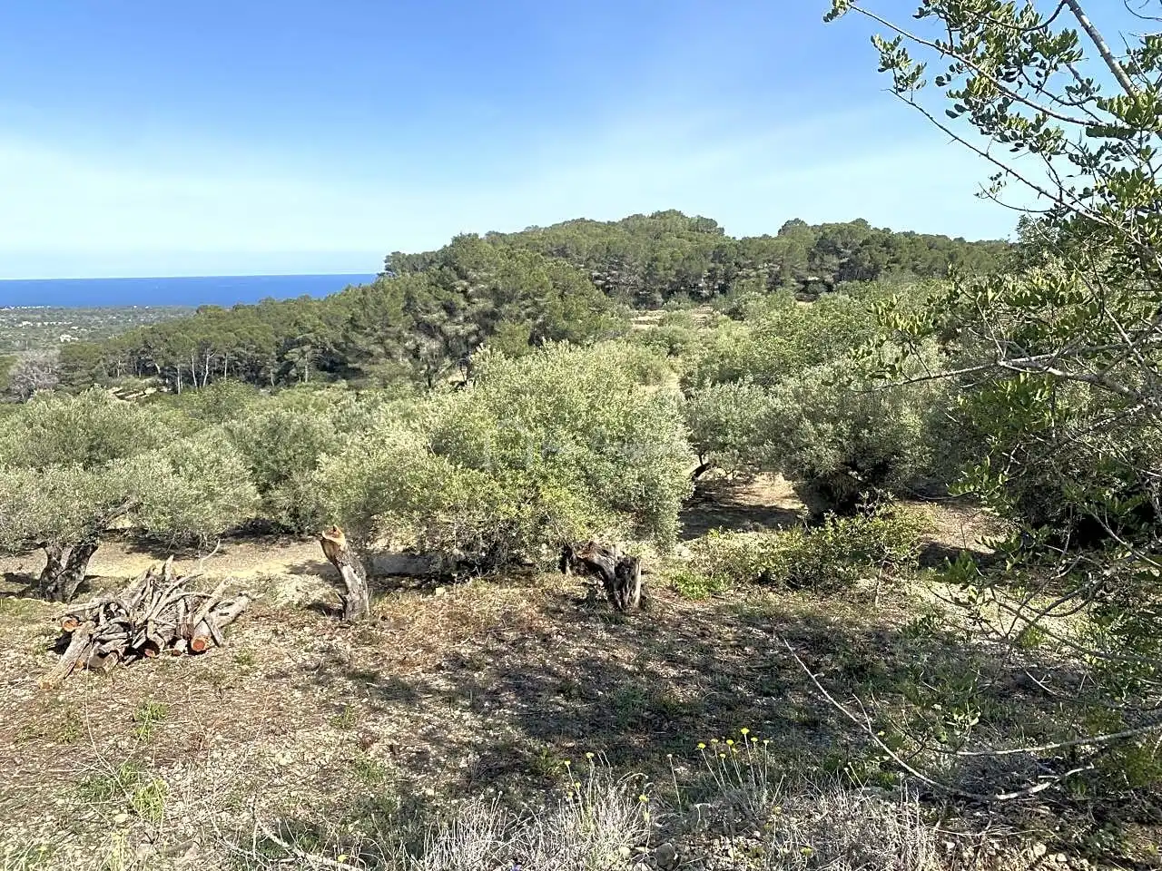 Terreno rustico in vendita a Puig Moltó, imagen 3