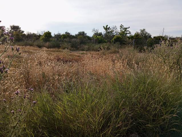 Terreno en Venta en Sangonera la Seca