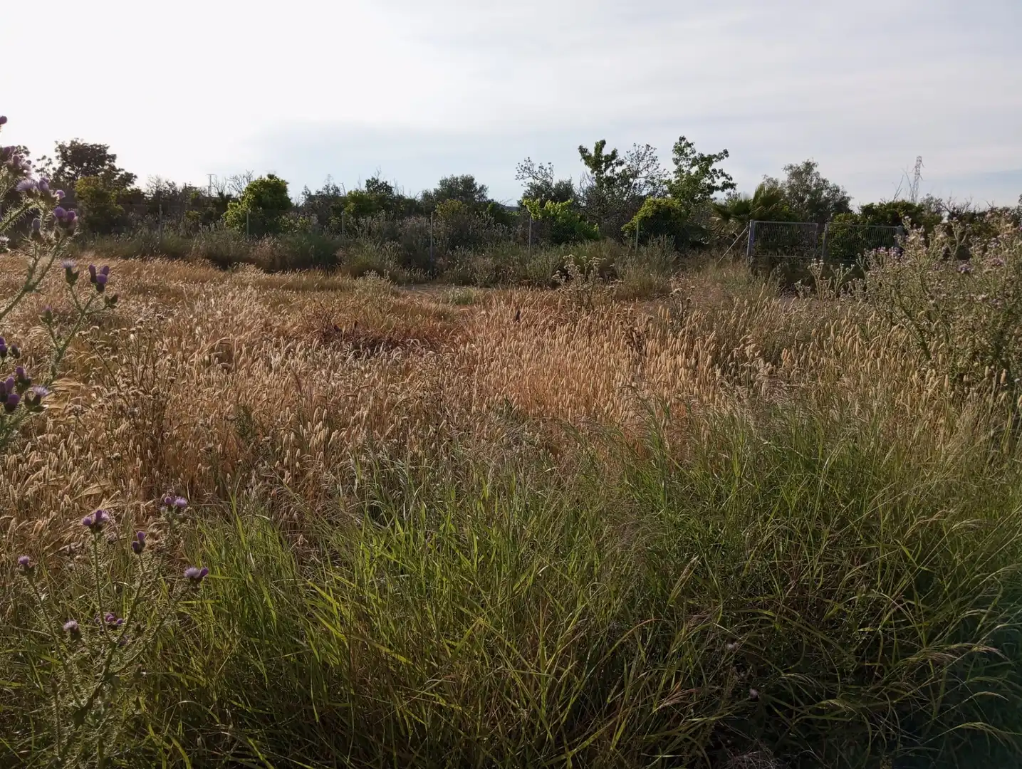 Land for sale in  Murcia Capital