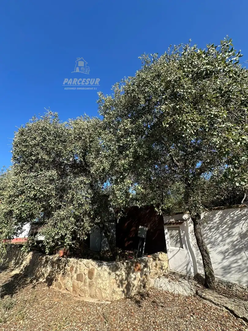 Haus mit Pool zum Verkauf in Almodóvar del Río, imagen 33