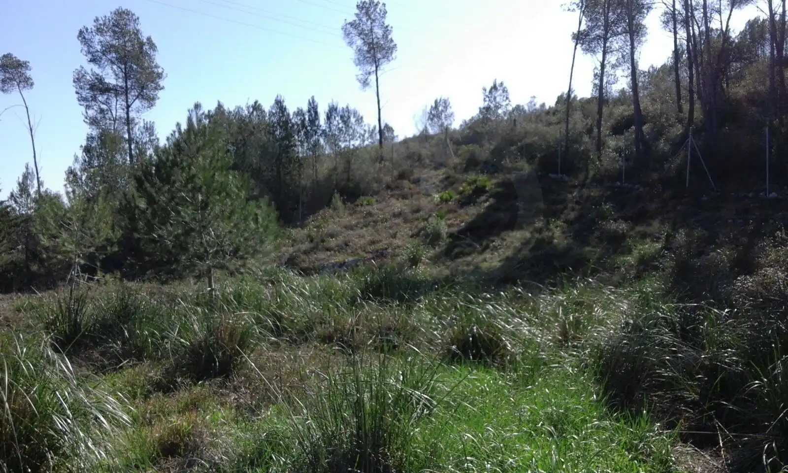 Terreny residencial en venda a Carrer del Senglar