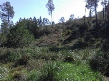 Wohnbaugrundstück zum Verkauf in Carrer del Senglar