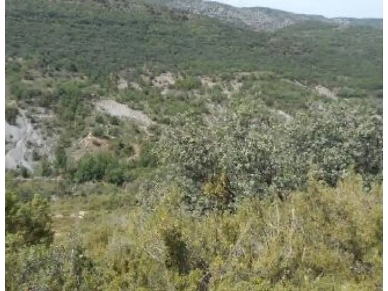 Terreno rústico en venta en Sector Agullo-AGER, imagen 4