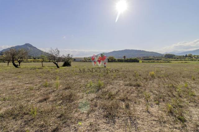 Terreno residencial en Venta en Ciutat d'Alcúdia