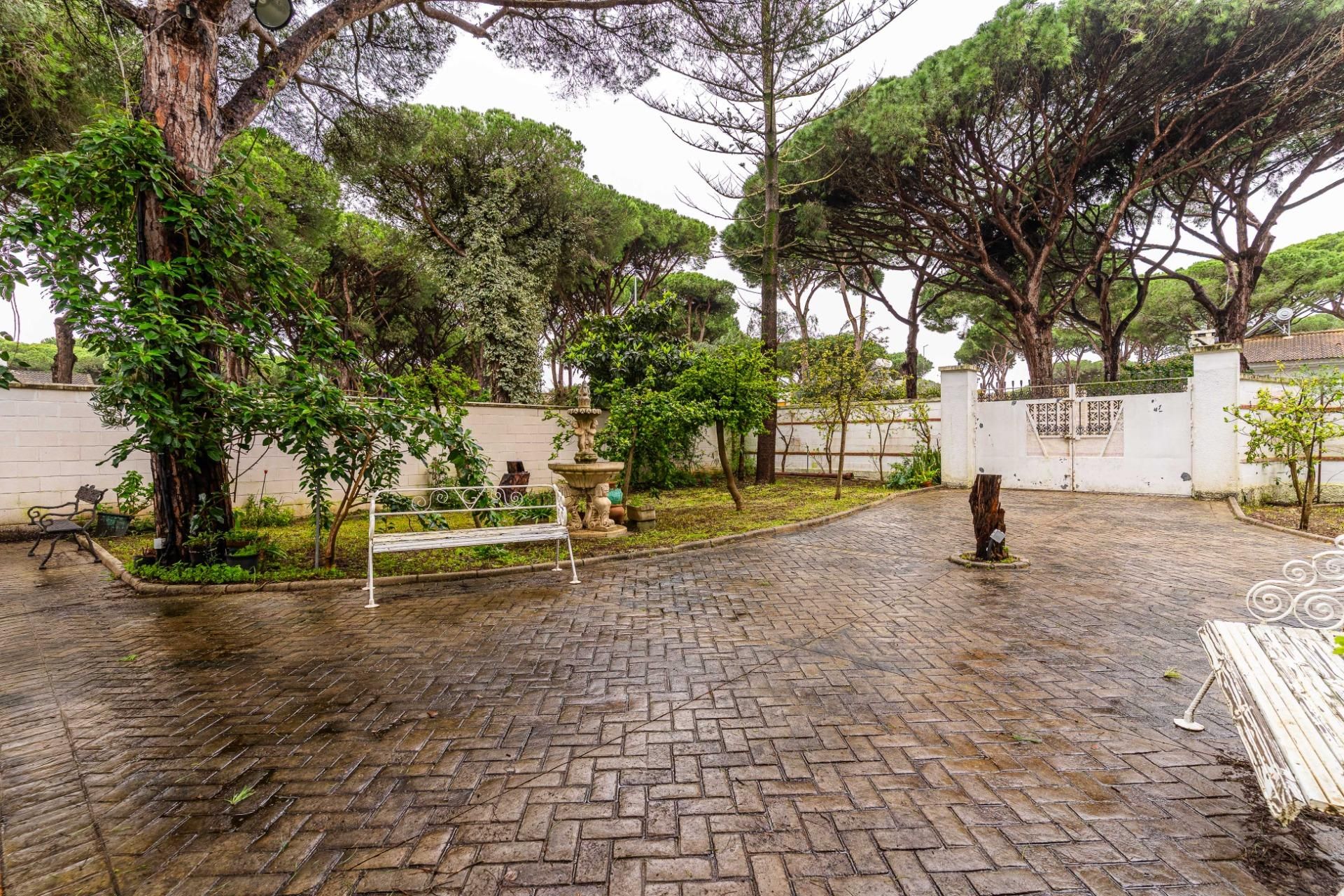 Jardí de Casa o xalet en venda en Chiclana de la Frontera
