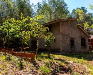 Exterior view of Country house for sale in Castellón de la Plana / Castelló de la Plana