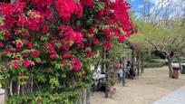 Jardí de Pis de lloguer en Cambrils amb Aire condicionat, Terrassa i Balcó