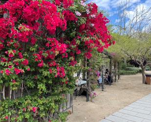 Jardí de Pis de lloguer en Cambrils amb Aire condicionat, Terrassa i Balcó