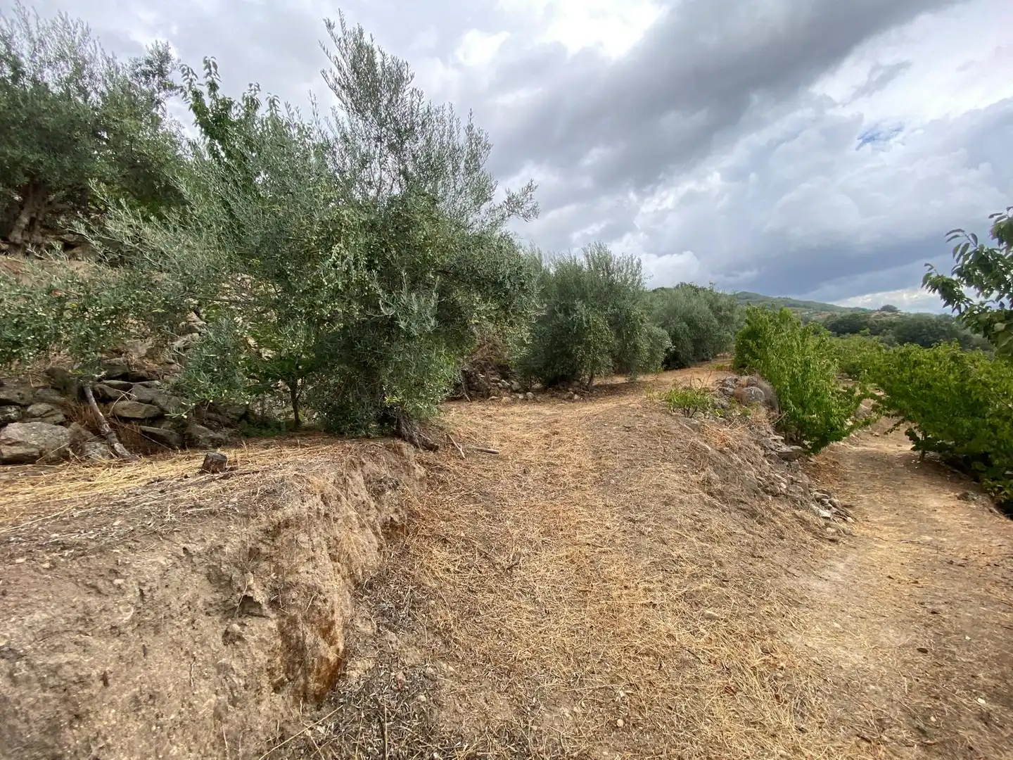 Terrain rustique à vendre à N/A, imagen 16