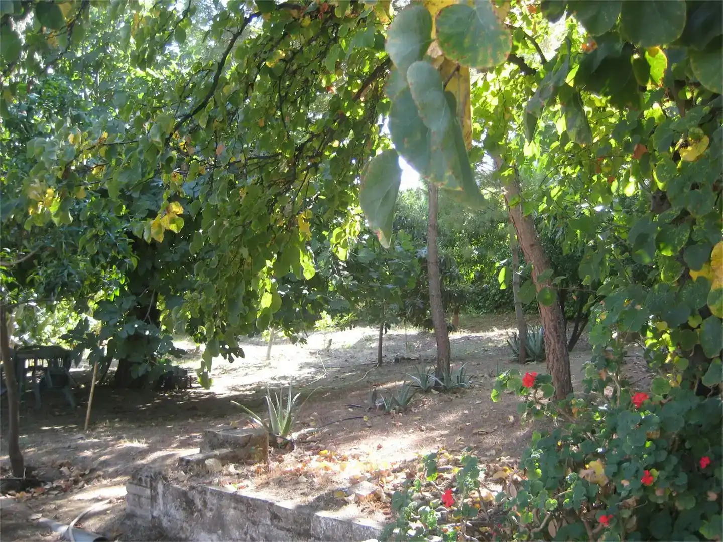 Jardí de Finca rústica en venda en Guadalcázar
