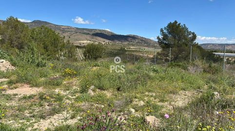 Photo 3 of Land for sale in Calle Zona la Paloma, S/n, Totana, Murcia
