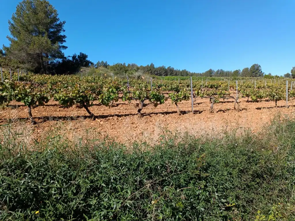 Rustikales Grundstück zum Verkauf in Sant Julià