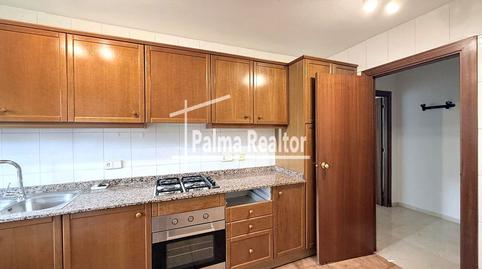Photo 4 of Flat to rent in Carrer de Cima, Camp d'en Serralta,  Palma de Mallorca