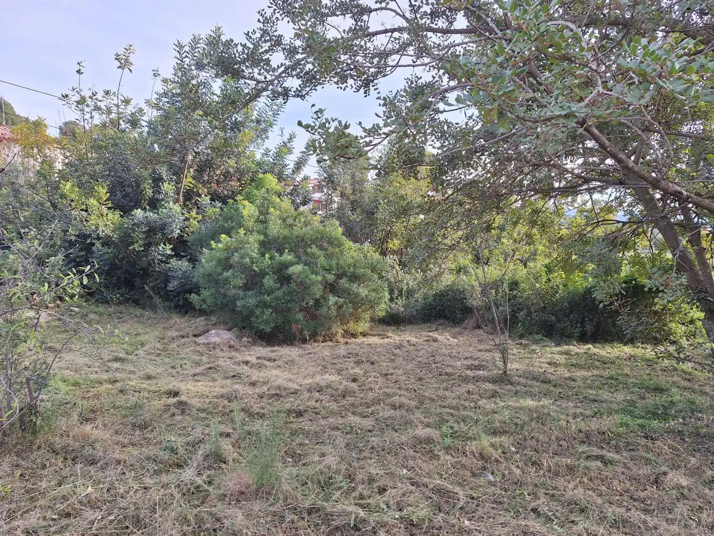 Terrenos y solares en venta en Alcover, imagen 8