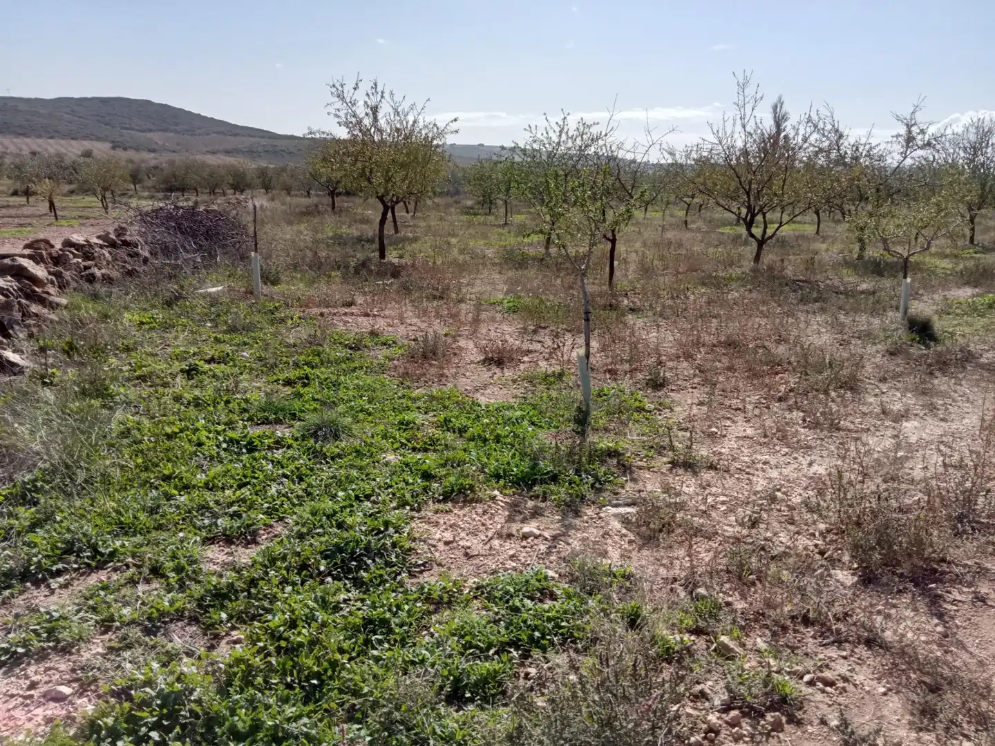 Casa o xalet en venda en Lezuza