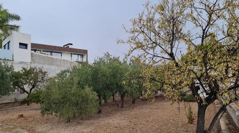 Foto 4 de Casa o chalet en venta en Pebrella, Petrer, Alicante