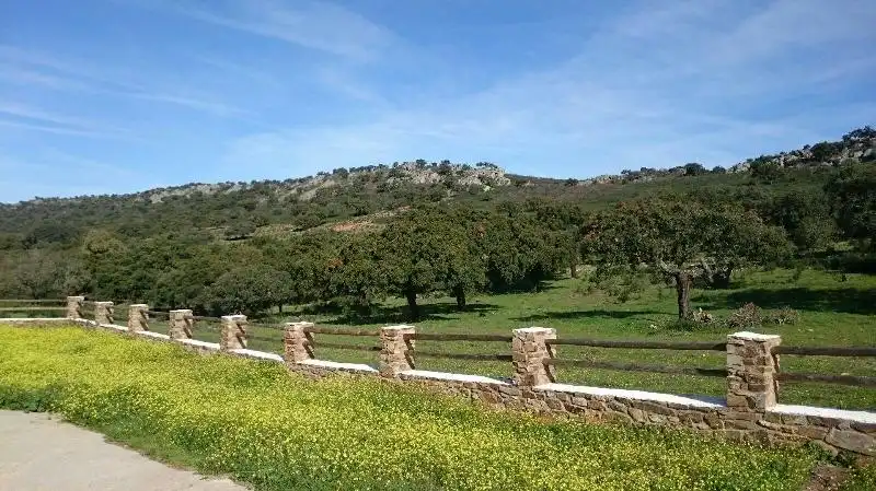 Land for sale in Salorino