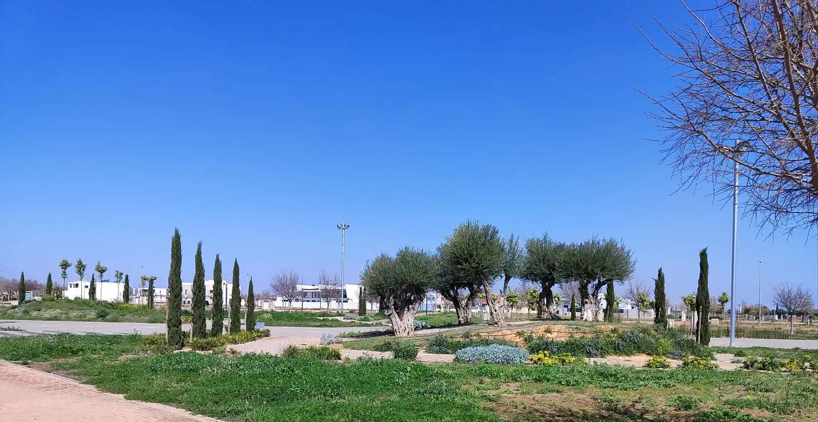Apartament amb terrassa en venda a Torre-Pacheco ciudad, imagen 3