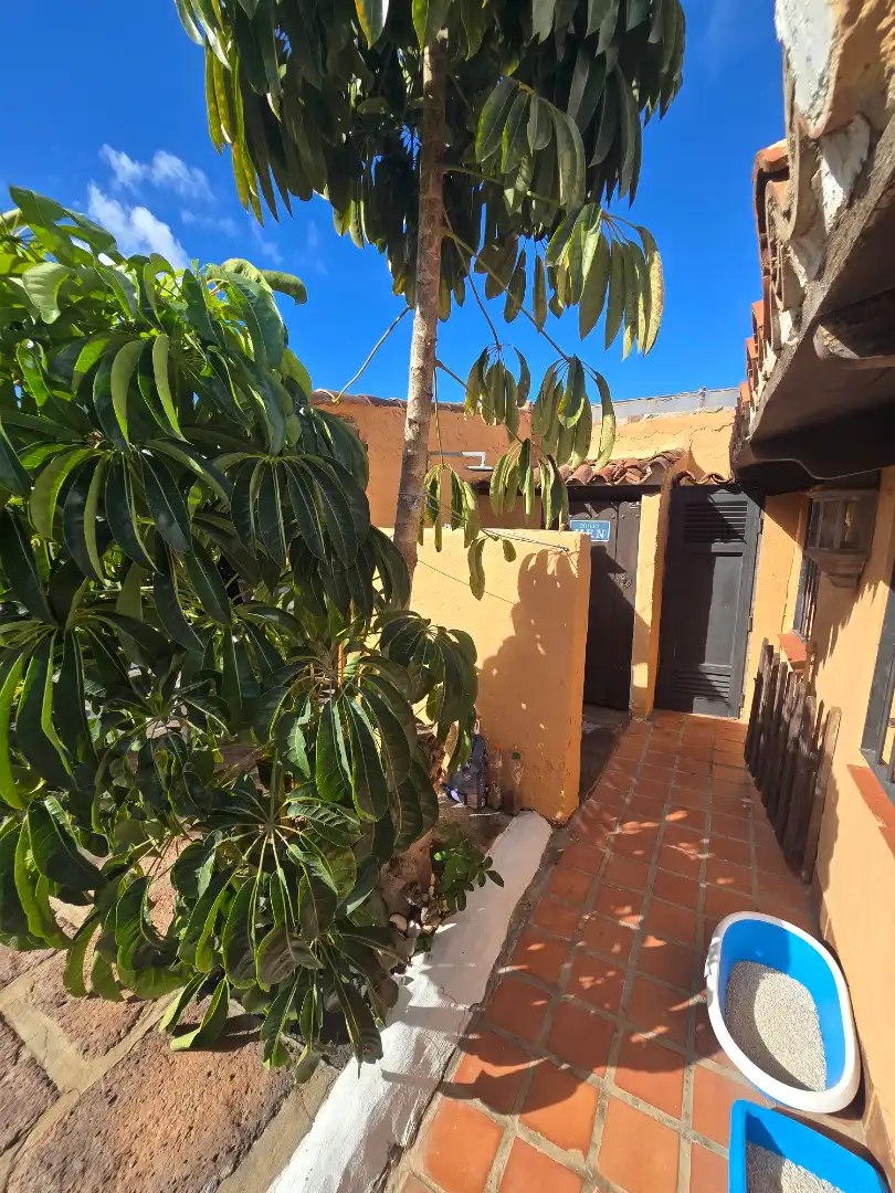 Vista exterior de Casa o xalet en venda en Arona amb Aire condicionat, Jardí privat i Parquet