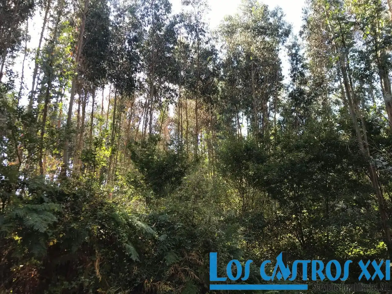 Residential for sale in Maside