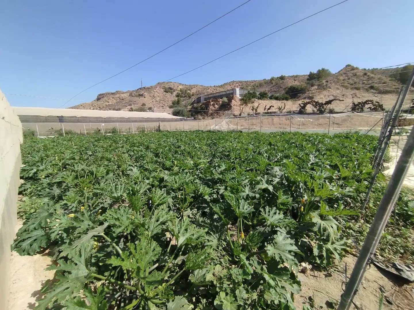 Terreno rustico in vendita a Santa Fe de Mondújar, imagen 25