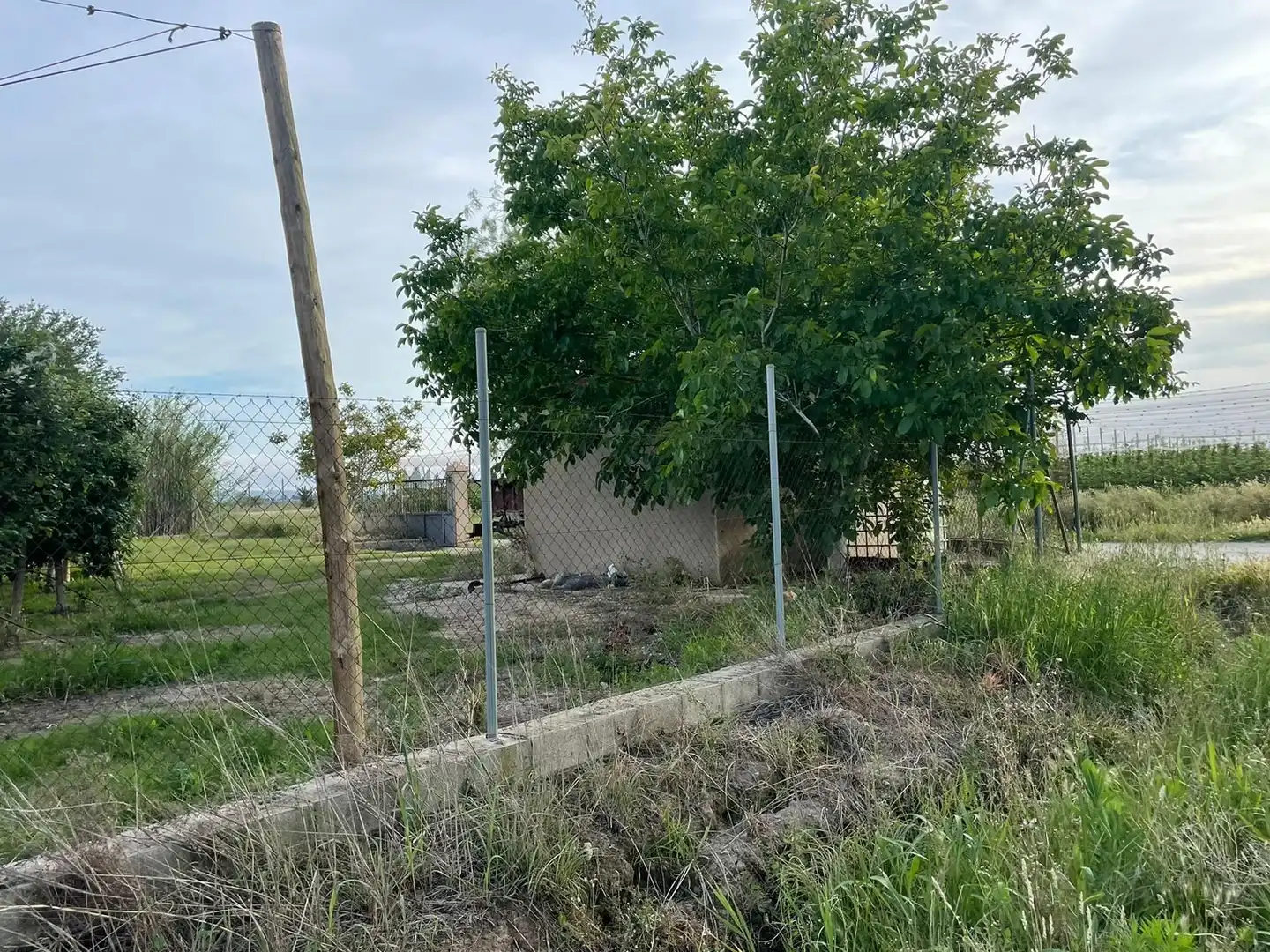 Rural land for sale in Sant Pere Pescador, imagen 12