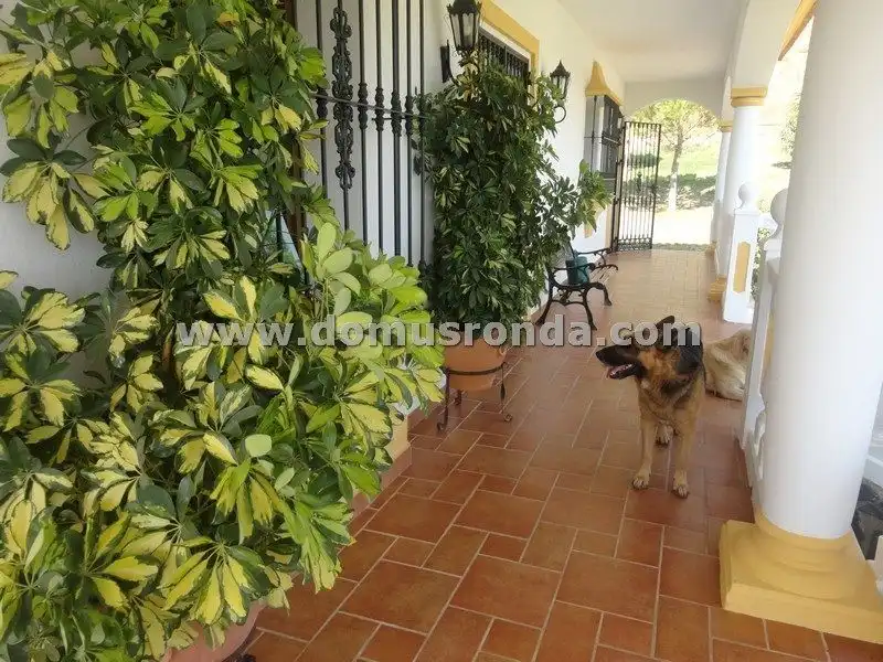 Villa con terrazza in vendita a Centro, imagen 62