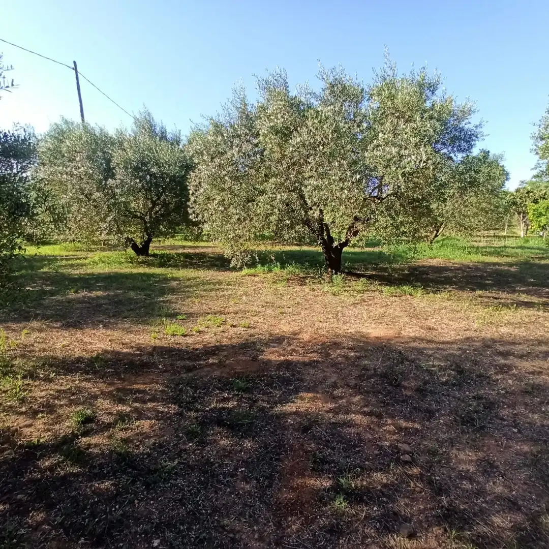 Finca rústica en venta en Reus