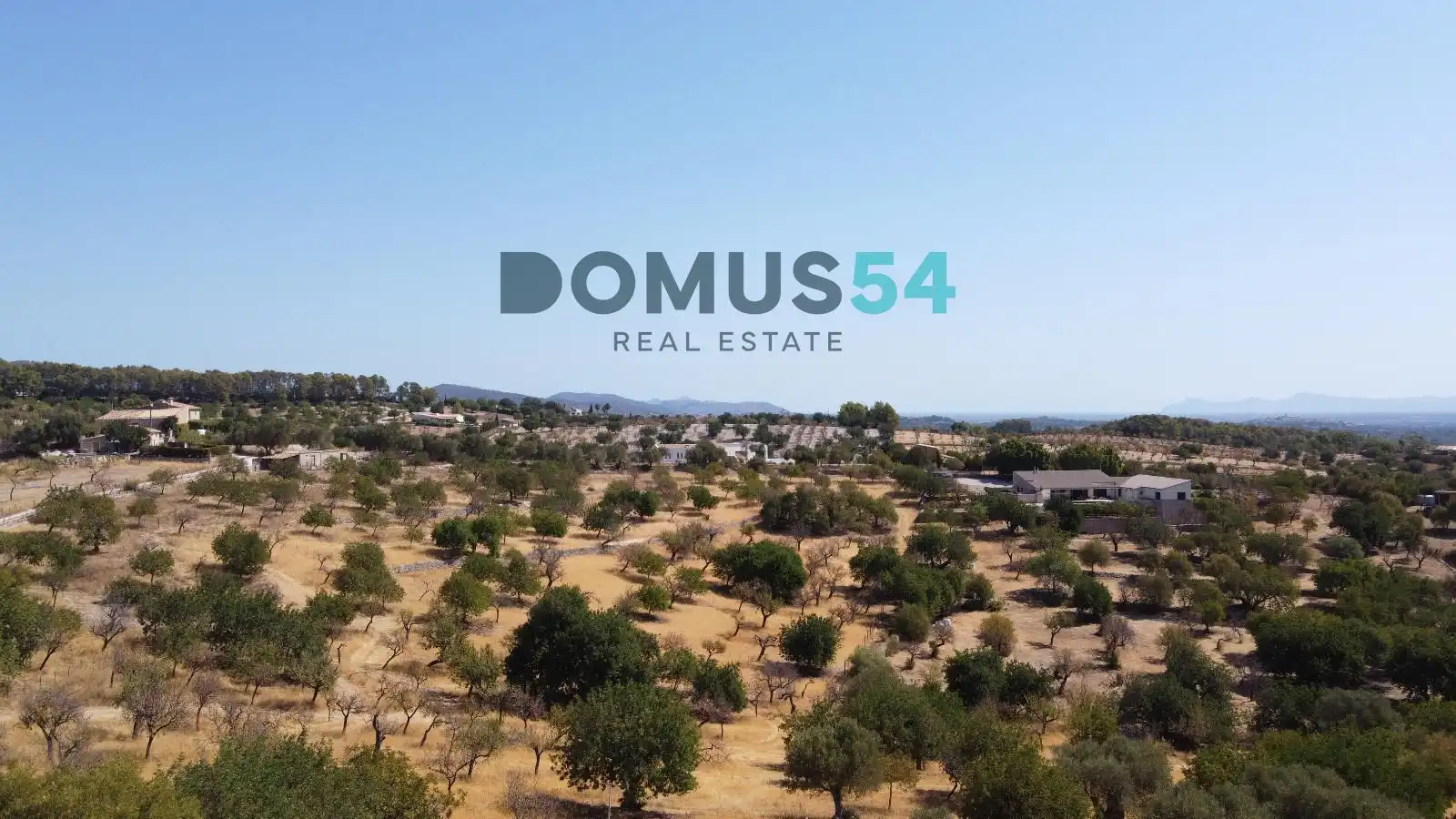 Land for sale in Selva