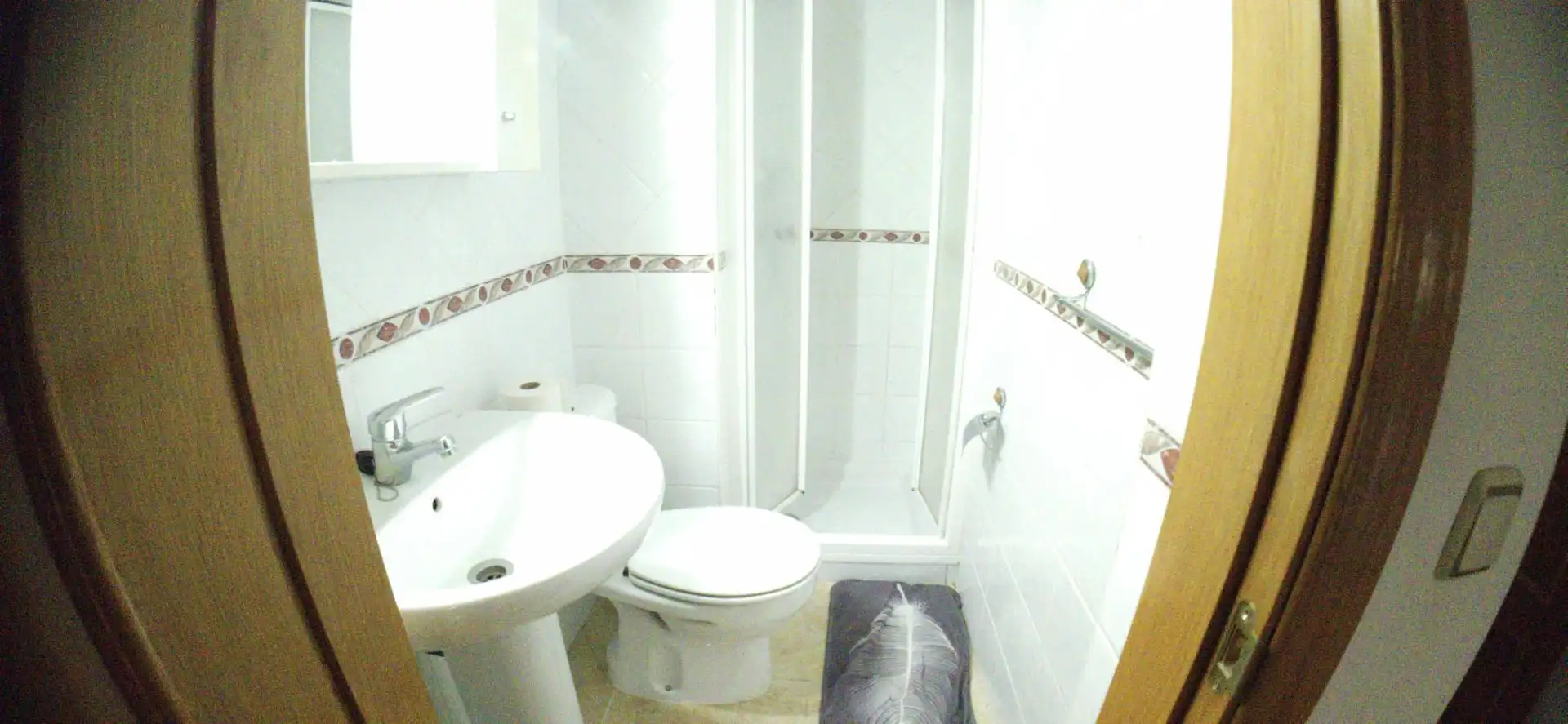 Badezimmer von Maisonette zum Verkauf in Roa, Burgos